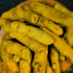 Turmeric Root